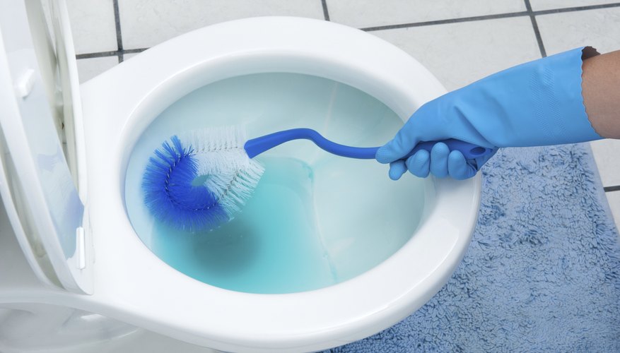 Gloved hand holding brush to clean bathroom toilet Gloved hand holding brush to clean bathroom toilet