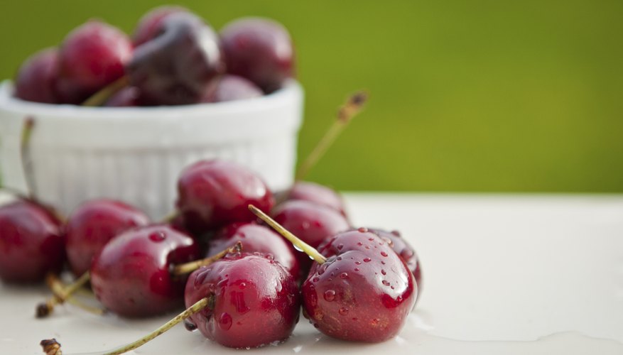 Bowl of cherries Bowl of cherries
