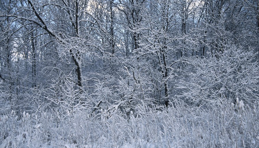 Frozen Precipitation Frozen Precipitation
