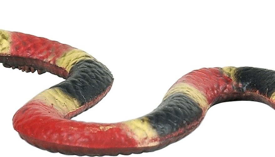 Photo Credit: Zedcor Wholly Owned/PhotoObjects.net/Getty Images The eastern coral snake has a distinct red-yellow-black stripe pattern.