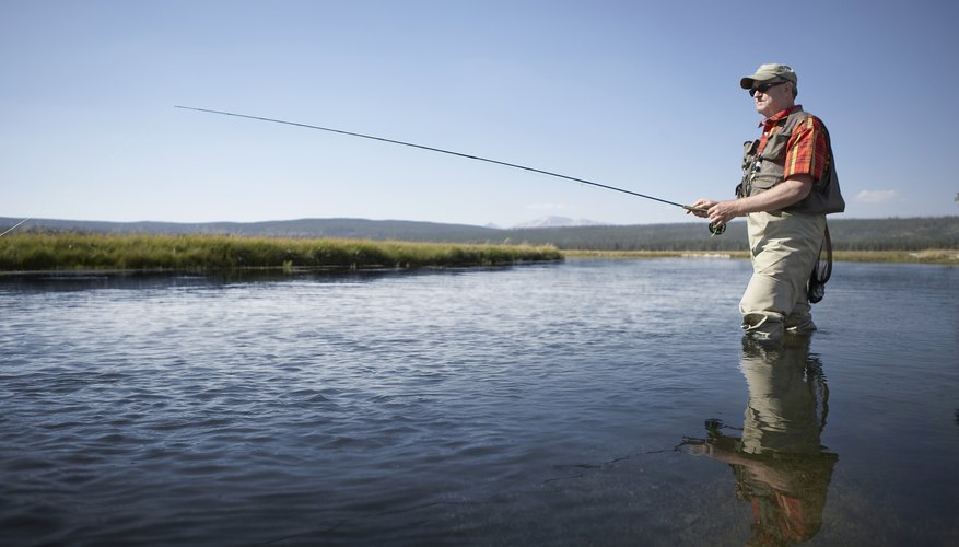 Lingcod Fishing Spots in Washington