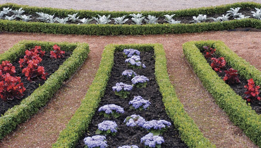 Puedes utilizar reflectores para iluminar tu jardín por la noche.