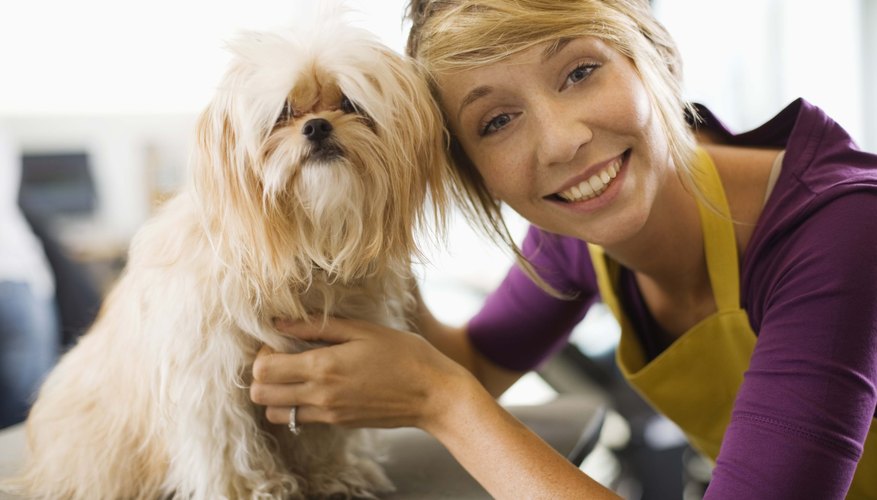 Many pet stores now work with local shelters to find homes for dogs and cats rather than selling puppies and kittens.