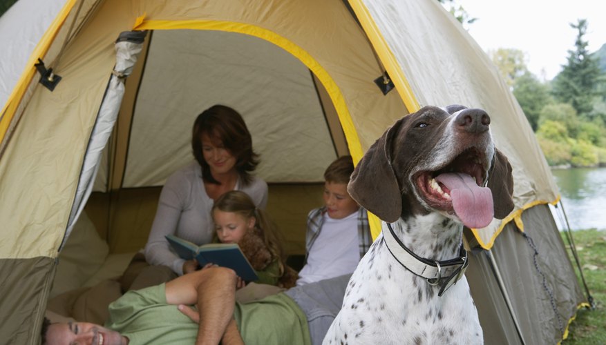 Campgrounds First Come First Serve in California