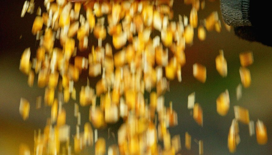 Photo Credit: Scott Barbour/Getty Images News/Getty Images Genetically engineered crops fabricated with DNA technology can be more productive.