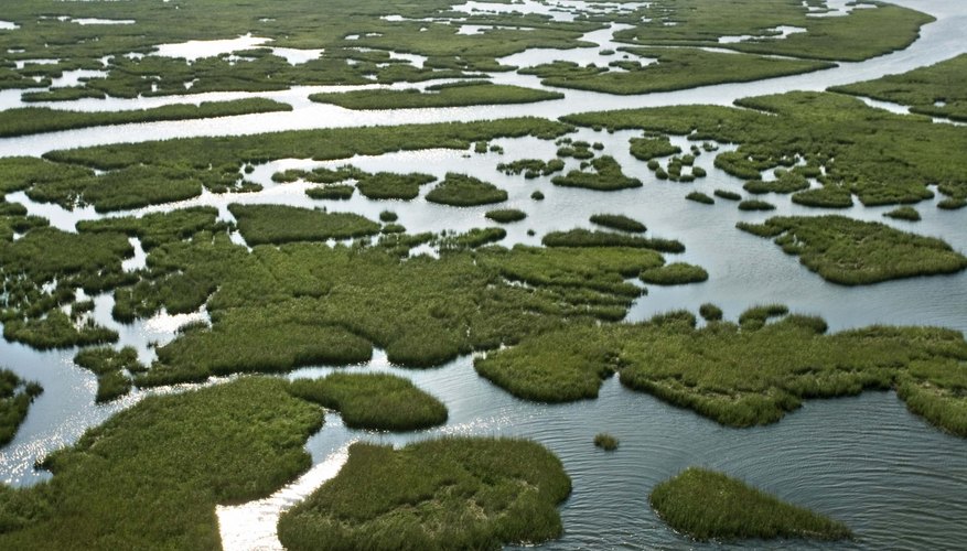 the-annual-salary-of-a-louisiana-game-warden-bizfluent