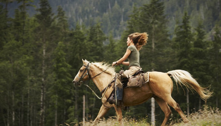 In some breeds, horse coat color is a codominant trait. In some breeds, horse coat color is a codominant trait.