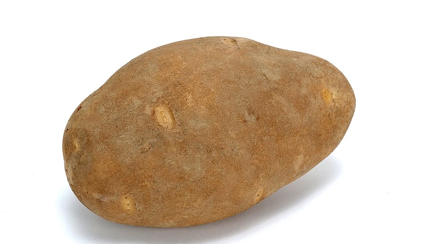 Fácil y de rápido crecimiento, las batatas son proyectos interesantes de ciencia.