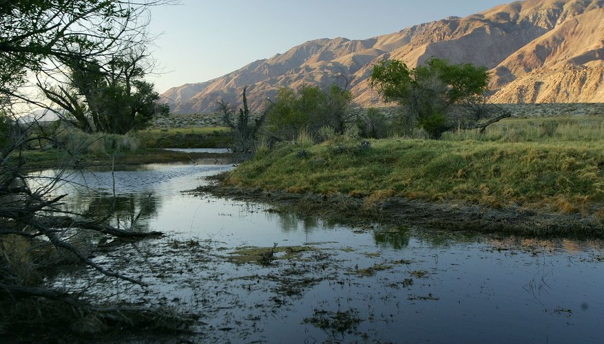 Photo Credit: David McNew/Getty Images News/Getty Images Owens River near Lone Pine, CA.