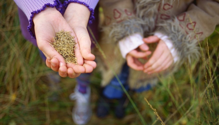 La biodiversidad es el tesoro más preciado de nuestro planeta.