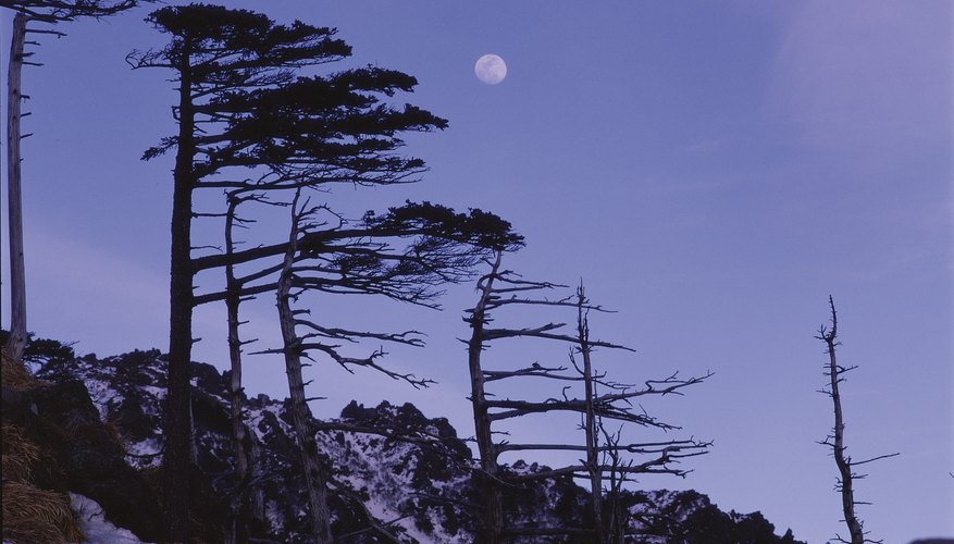 The moon in the sky just before dawn. The moon in the sky just before dawn.