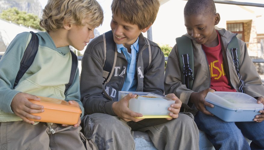 Most schools do not provide refrigeration for your child's lunch. Most schools do not provide refrigeration for your child's lunch.