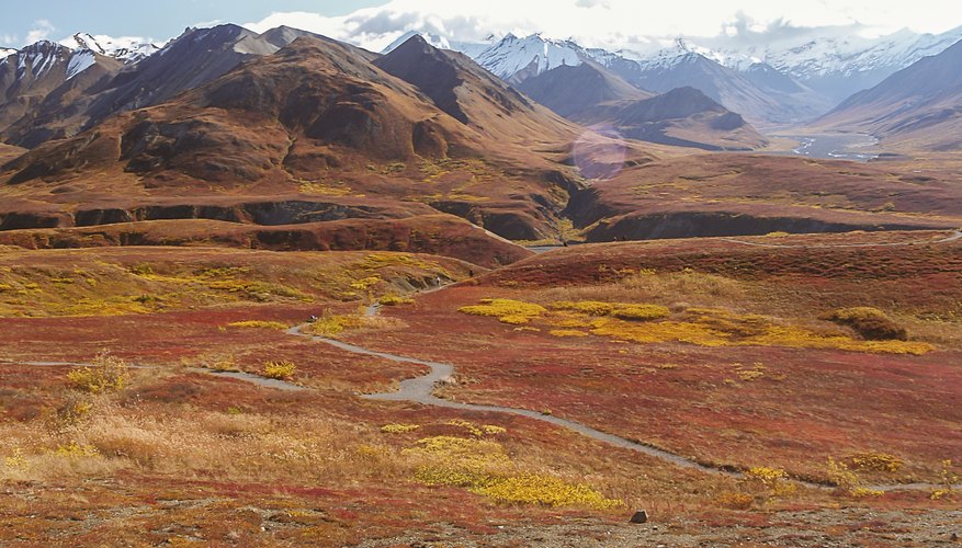 Tundra Characteristics | Sciencing