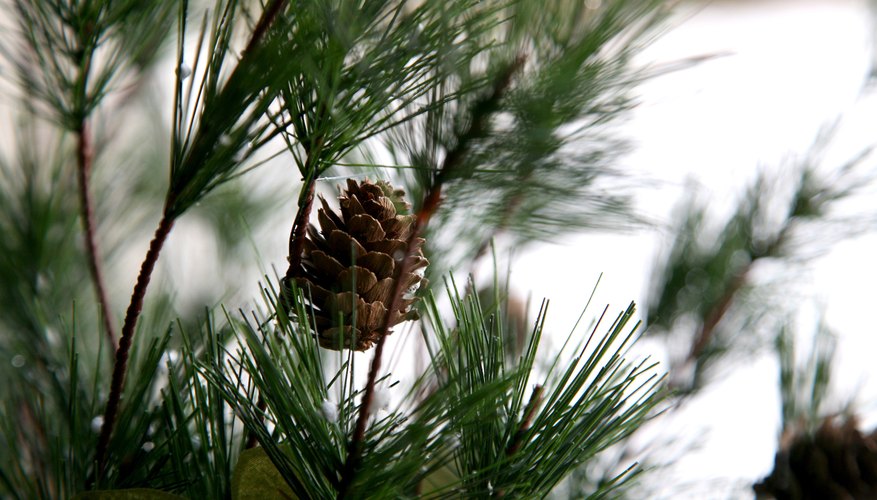Photo Credit: Jupiterimages/Photos.com/Getty Images Pine cone, straw and needles