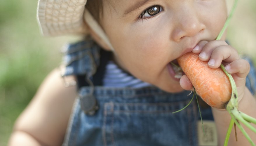 Baby eating carrot Baby eating carrot