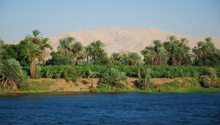 Photo Credit: Jakub Niezabitowski/iStock/Getty Images Crops grow along the edge of the Nile River.