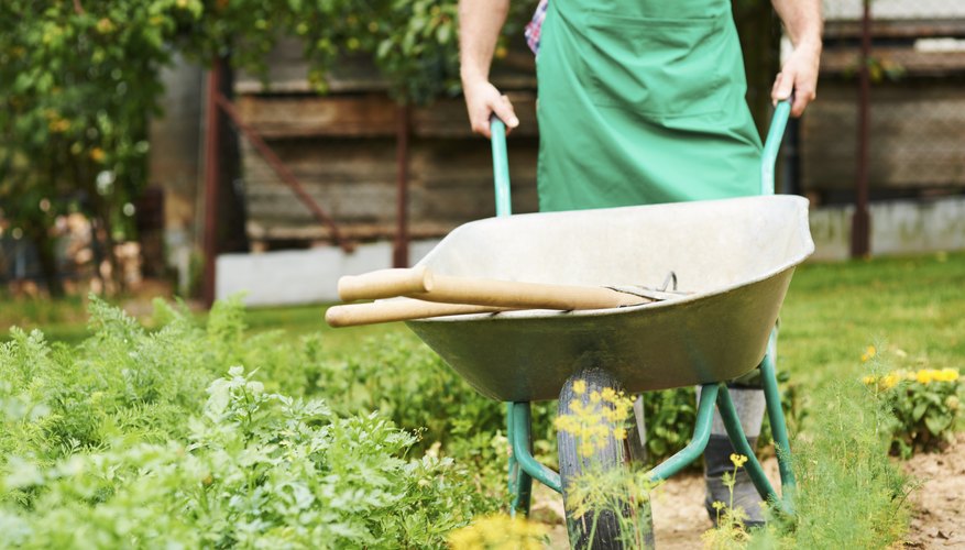 A man pushes a wheelbarrow through his garden A man pushes a wheelbarrow through his garden