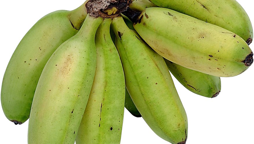 Los plátanos son más pequeños que las bananas pero tienen una textura similar.