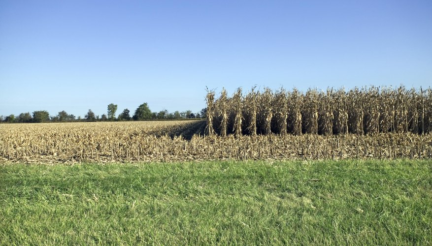 Photo Credit: Thinkstock/Comstock/Getty Images Missouri