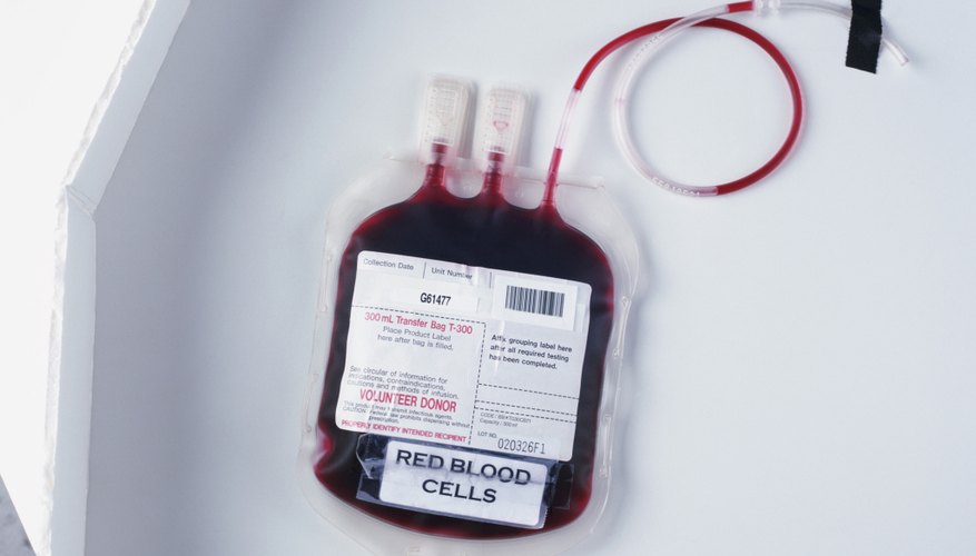 Transfusion of Red Blood Cells Transfusion of Red Blood Cells