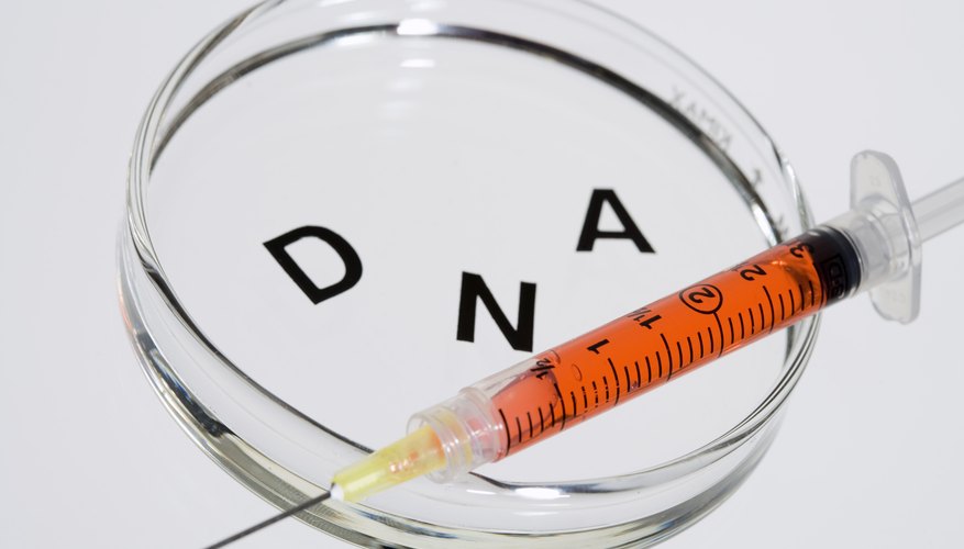 Photo Credit: Dynamic Graphics/Creatas/Getty Images Theoretically, the same sequence of DNA would code for the same amino acids in any living thing.