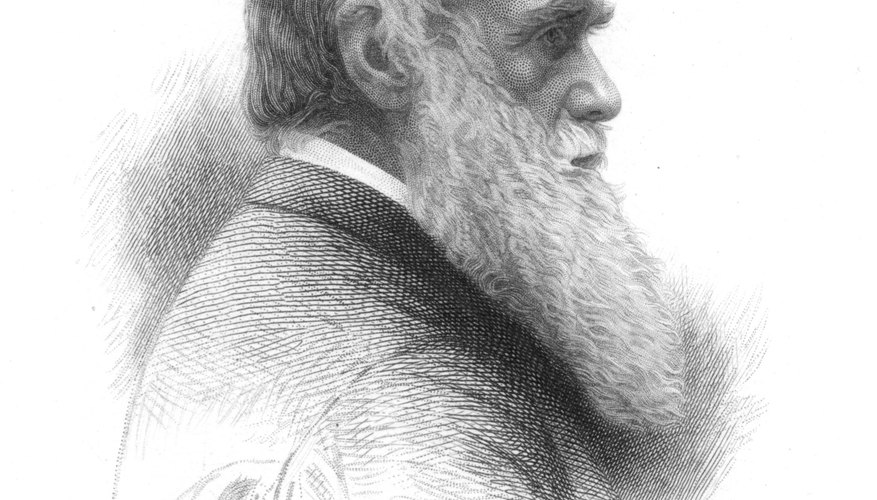 La teoría de la evolución de Charles Darwin se desrama de su libro