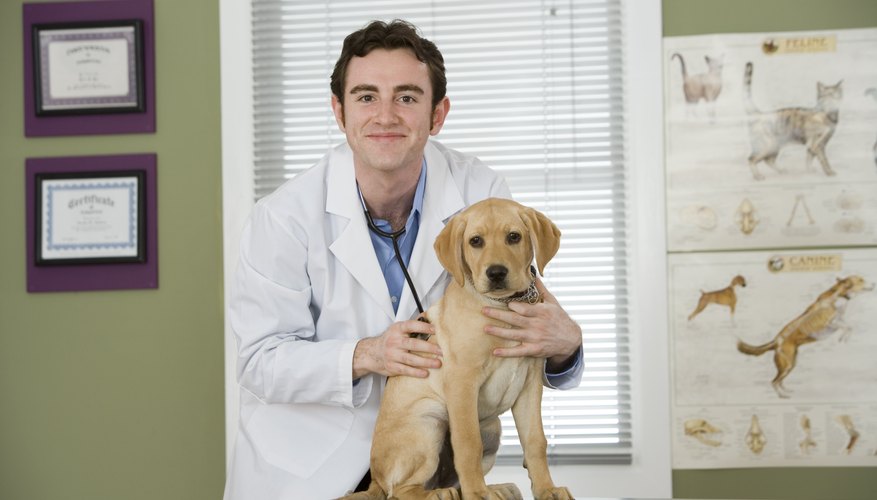 Photo Credit: Comstock Images/Comstock/Getty Images Digestive Dangers