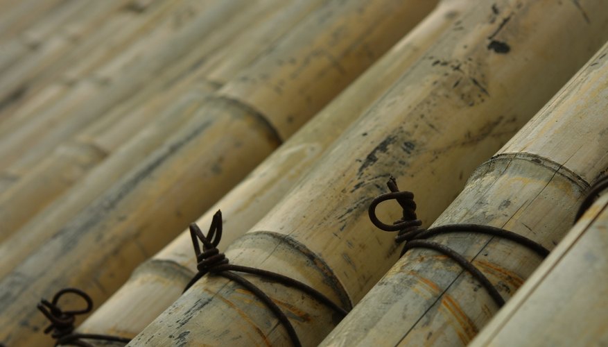 Amarra cañas de bambú para crear estructuras resistentes.