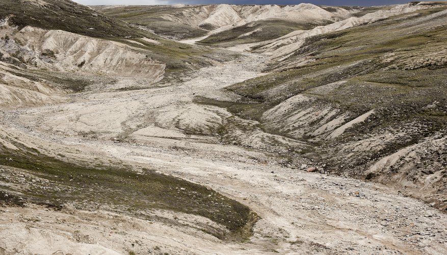 La tundra ártica es uno de los dos tipos de tundra.