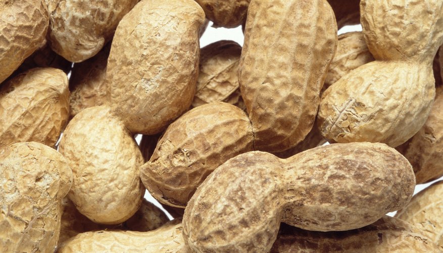 Photo Credit: Goodshoot/Goodshoot/Getty Images Peanuts were not widely cultivated in the American South until Carver promoted their many possible uses.