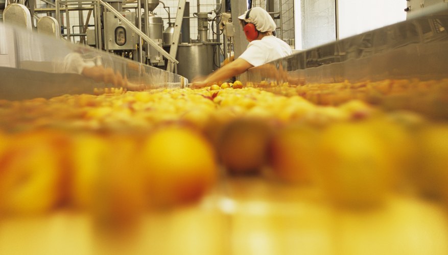 Inspecting peaches on conveyor belt