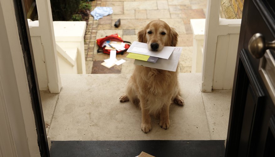 Always open letters from your insurance company -- they may be important.