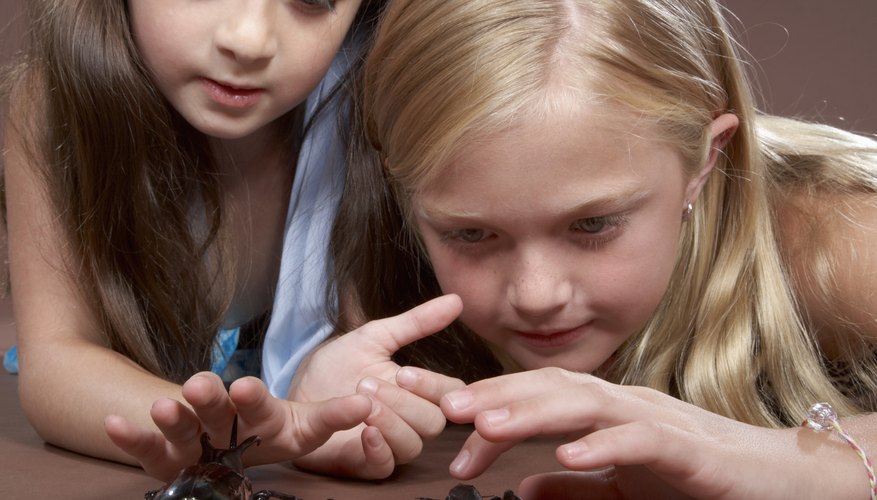 Photo Credit: Baerbel Schmidt/Digital Vision/Getty Images Boy observing a spider