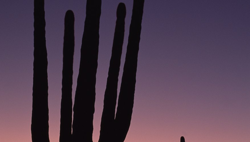 Arizona doesn't assess a state property tax.