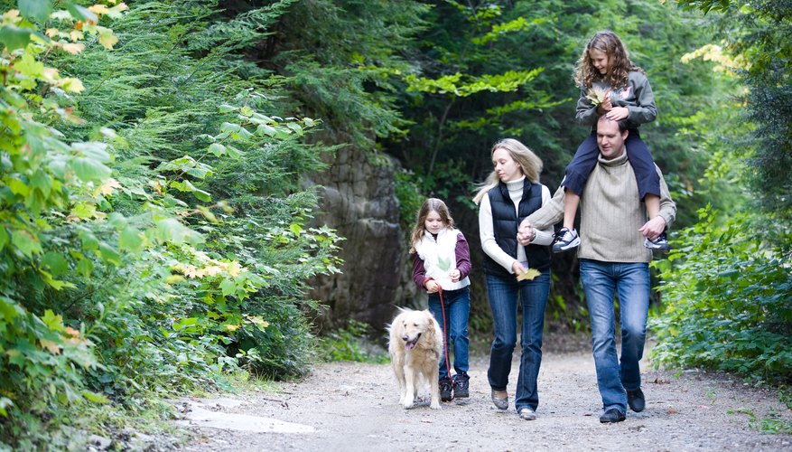 Las familias pueden participar en una variedad de actividades alrededor de Stuarts Draft.