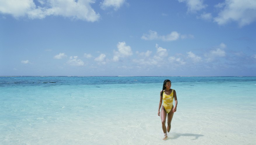 La playa tiene un ecosistema único.