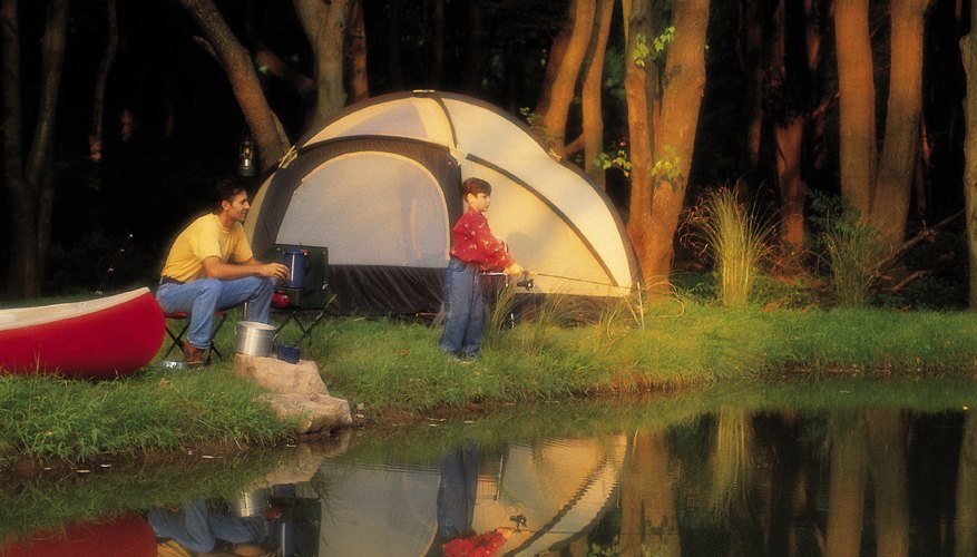 Lleva a tus hijos a acampar y pasear por el río Delaware.