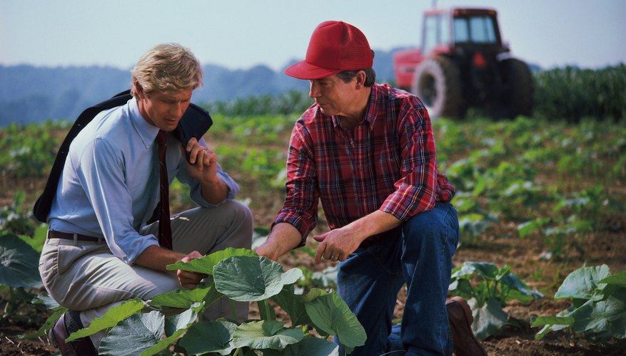Photo Credit: Comstock/Stockbyte/Getty Images Pollution affects agriculture.