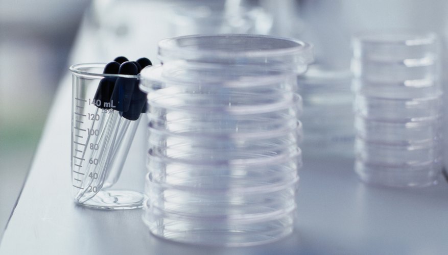 Photo Credit: Ryan McVay/Photodisc/Getty Images Sterile equipment is vital for a successful microbiology experiment.