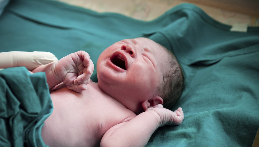 Midwives are licensed medical professionals. Midwives are licensed medical professionals.