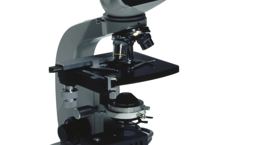 Consejos para trasladar un microscopio.