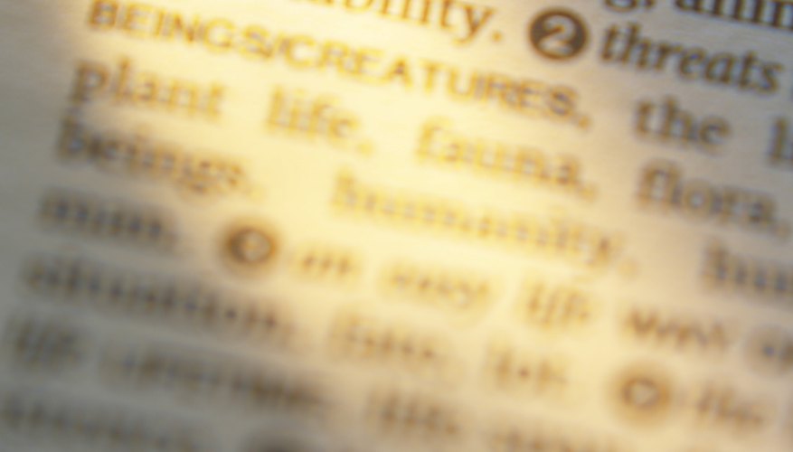 Adquiere la mayor cantidad de vocabulario.