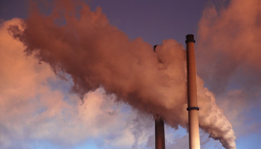 Photo Credit: John Foxx/Stockbyte/Getty Images Poor air quality due to smog and noxious gases can have a devastating effect on the bird population in dense areas.