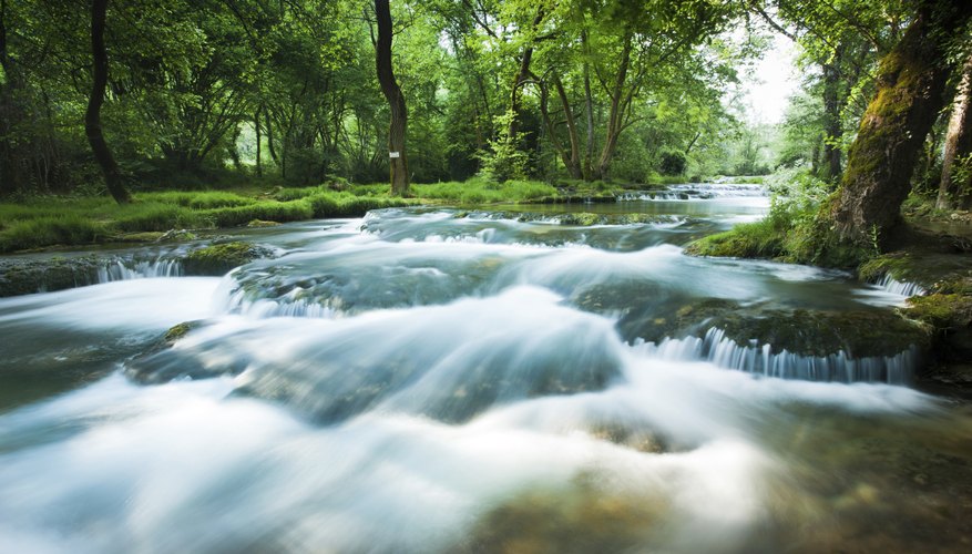 Meaning Of Standing Water Ecosystem