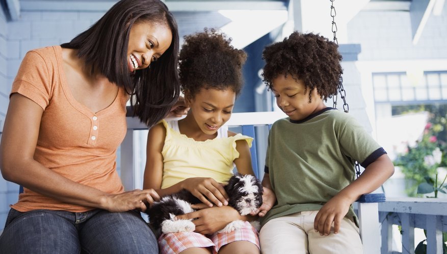 Photo Credit: Jupiterimages/Brand X Pictures/Getty Images Family with Shih Tzu puppy.