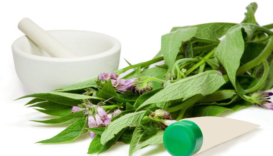 Herbs. Herbs.