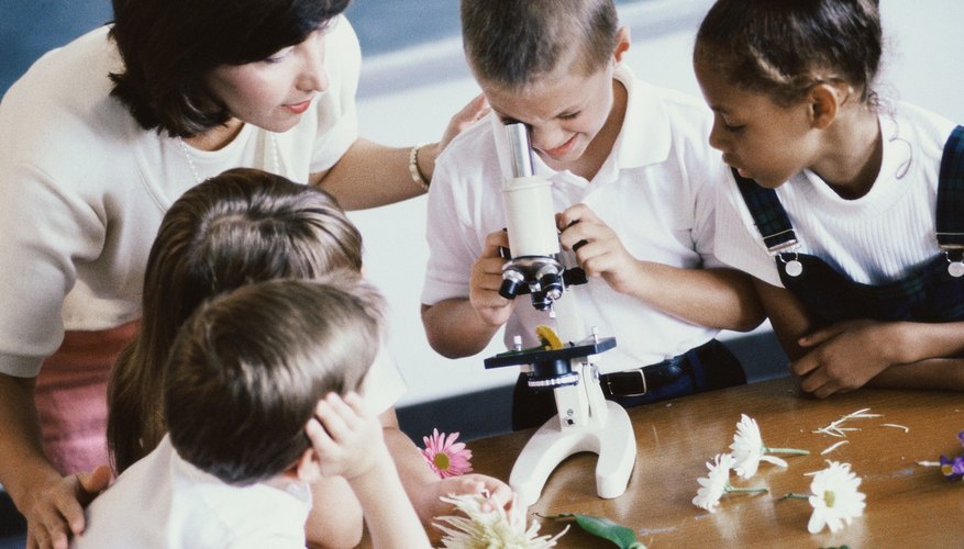 Young children using microscope in science class Young children using microscope in science class