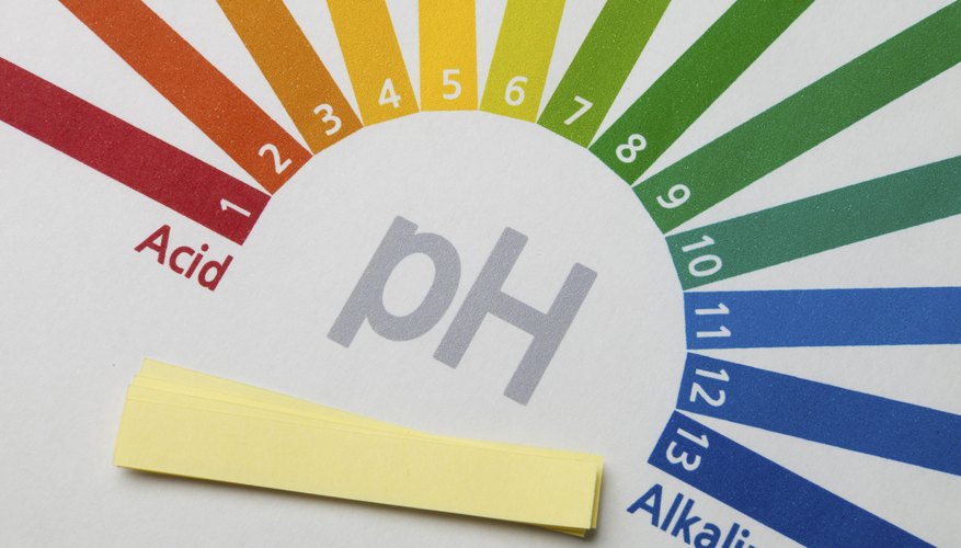 Photo Credit: phototake/iStock/Getty Images Enzymes have a pH range in which they operate most efficiently.