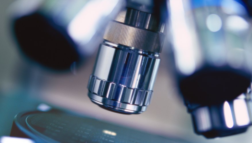 Photo Credit: Stockbyte/Stockbyte/Getty Images You can closely observe nearly any object with a microscope.