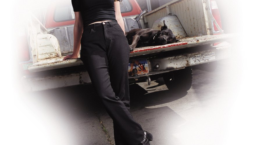 a young caucasian woman in black pants and shirt is leaning against the tailgate of a pickup truck with her black dog lying in the truck bed